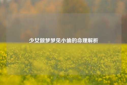 少女做梦梦见小偷的命理解析