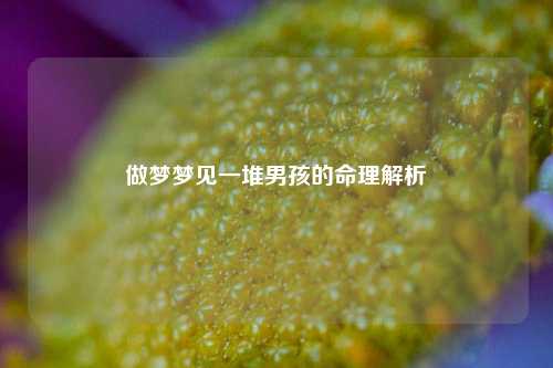 做梦梦见一堆男孩的命理解析