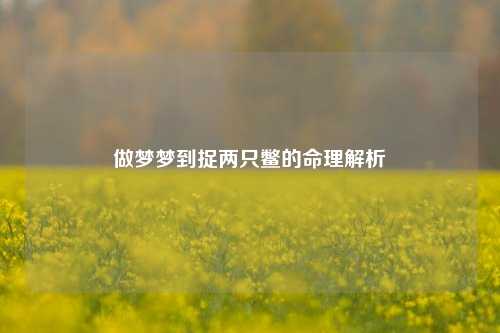 做梦梦到捉两只鳖的命理解析