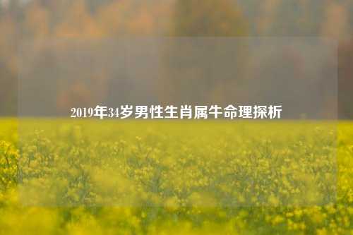 2019年34岁男性生肖属牛命理探析